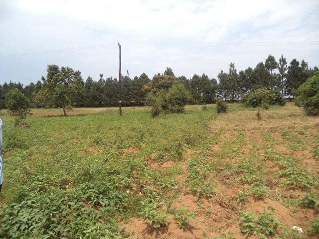 Residential Land for sale in Garuga Wakiso