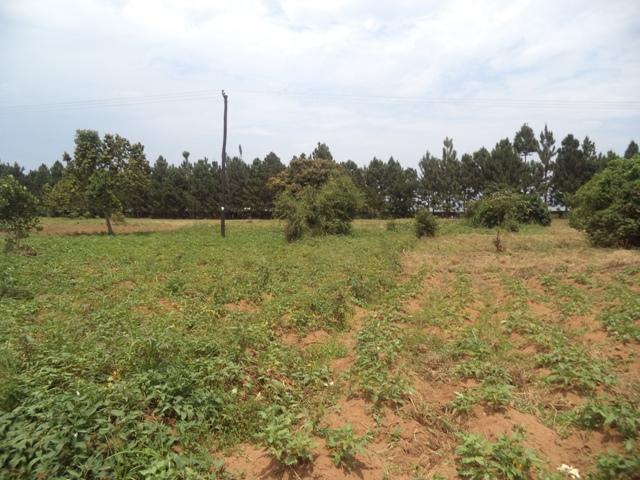 Residential Land for sale in Garuga Wakiso