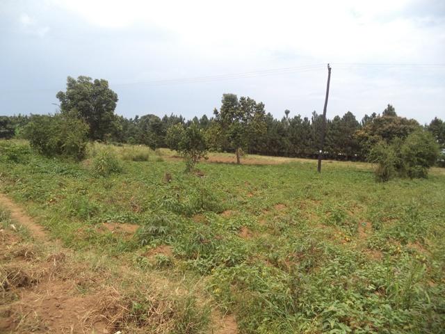 Residential Land for sale in Garuga Wakiso