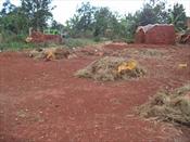 Residential Land for sale in AbayitaAbabiri Wakiso