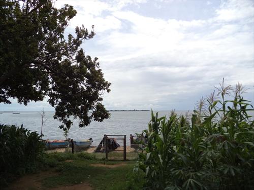 Bungalow for sale in Entebbe Wakiso