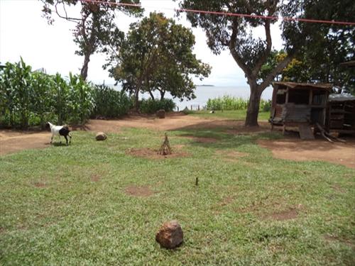 Bungalow for sale in Entebbe Wakiso