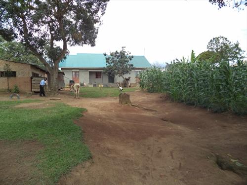 Bungalow for sale in Entebbe Wakiso