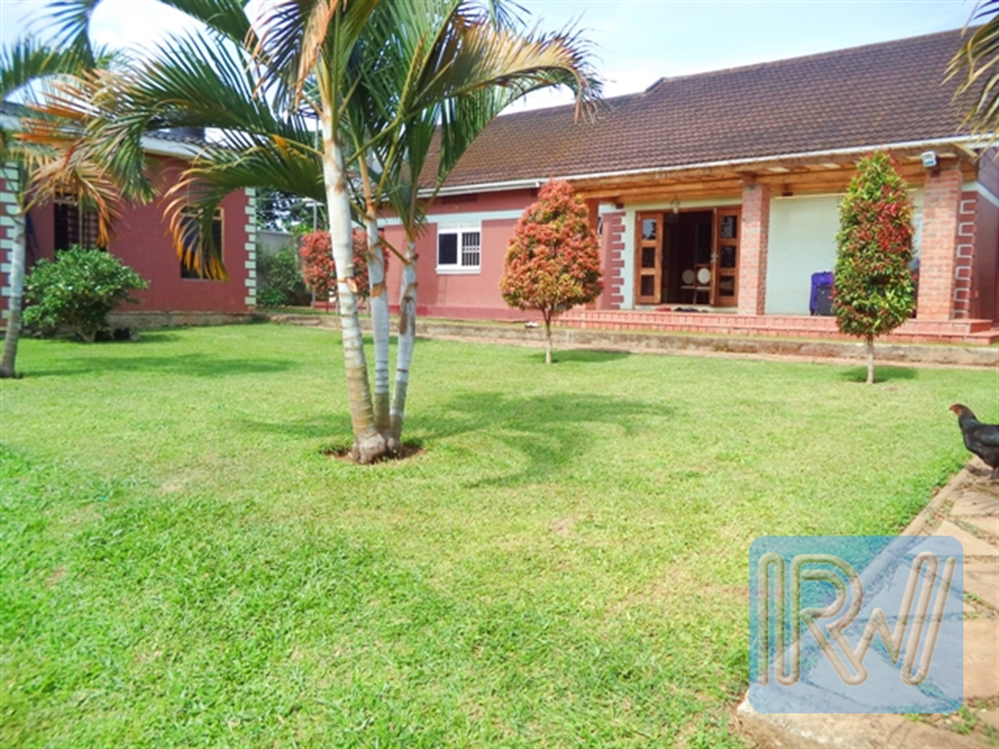 Bungalow for rent in Entebbe Wakiso