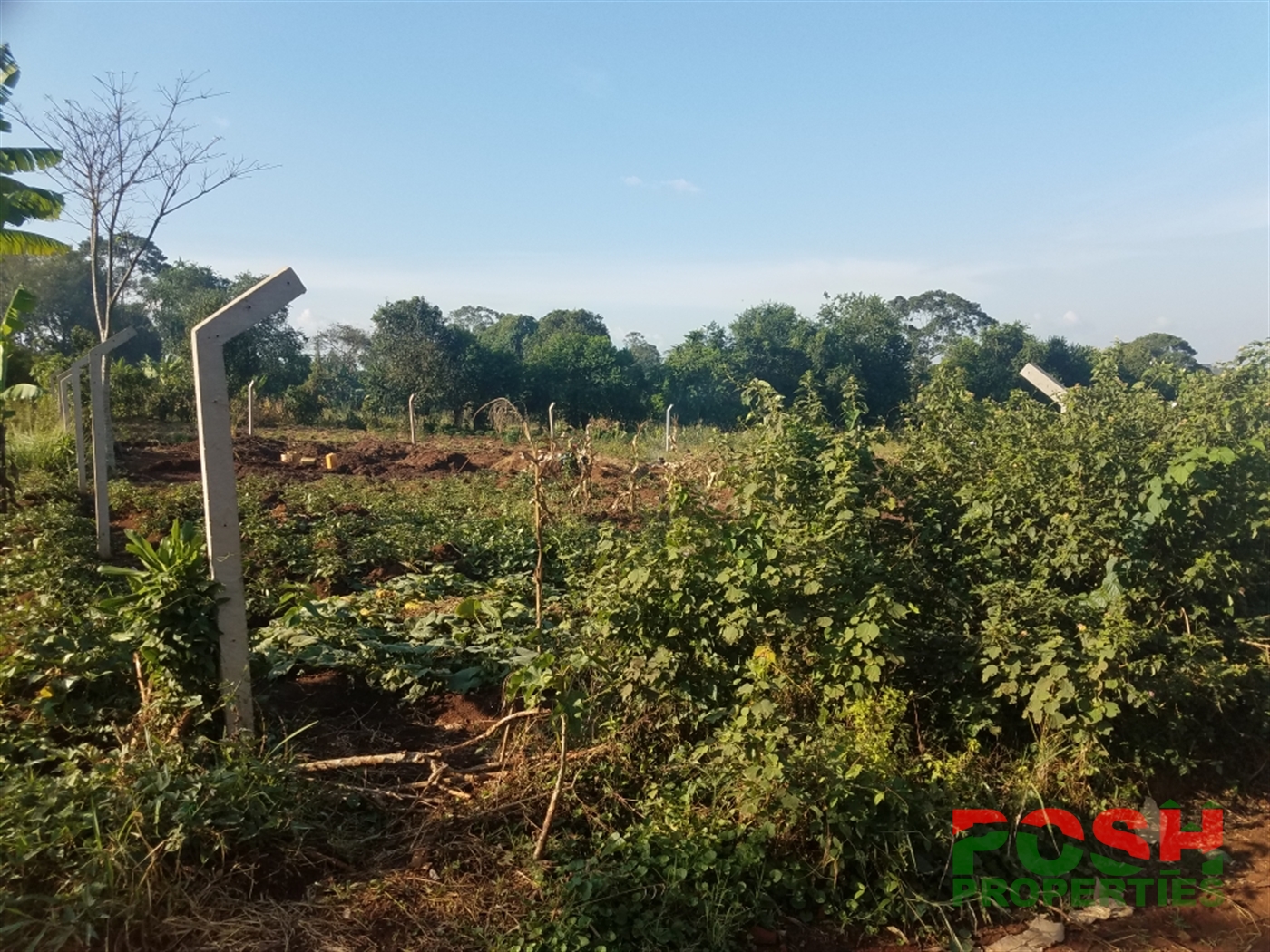 Recreational Land for sale in Kasangati Wakiso