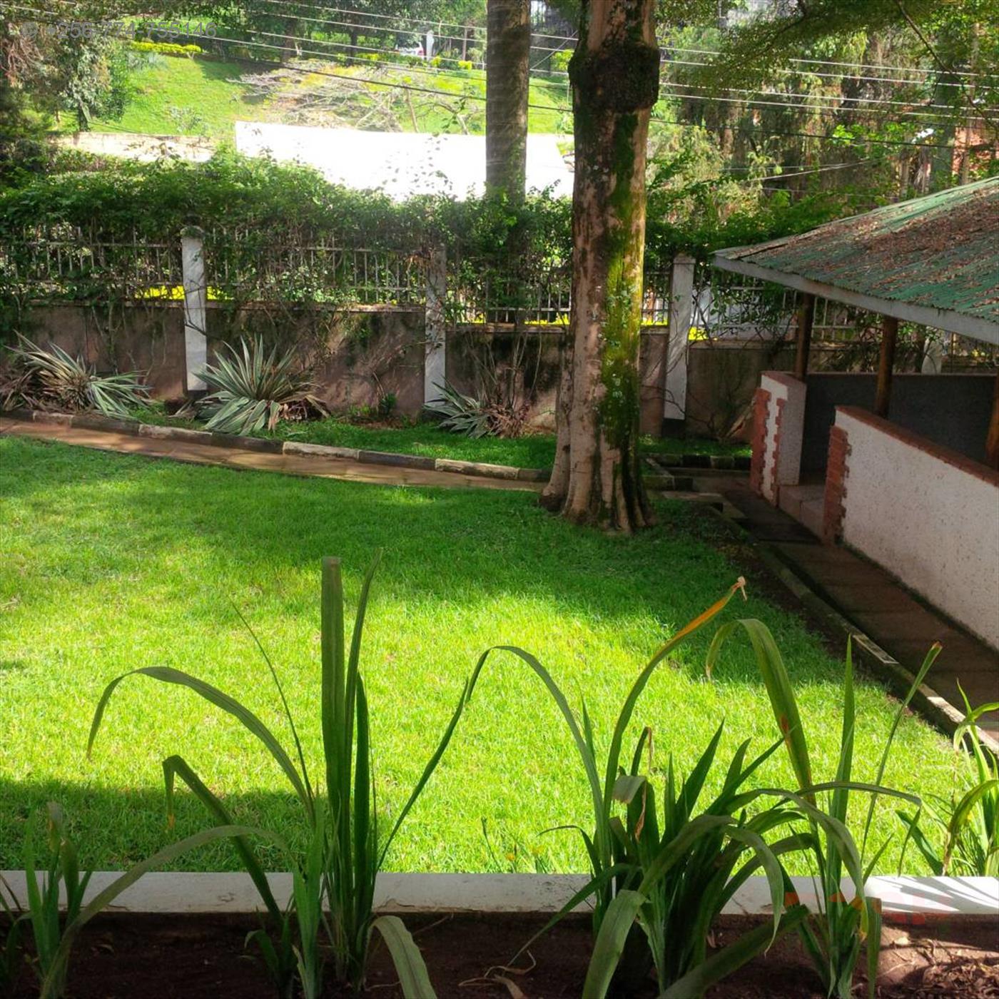 Mansion for rent in Kololo Kampala