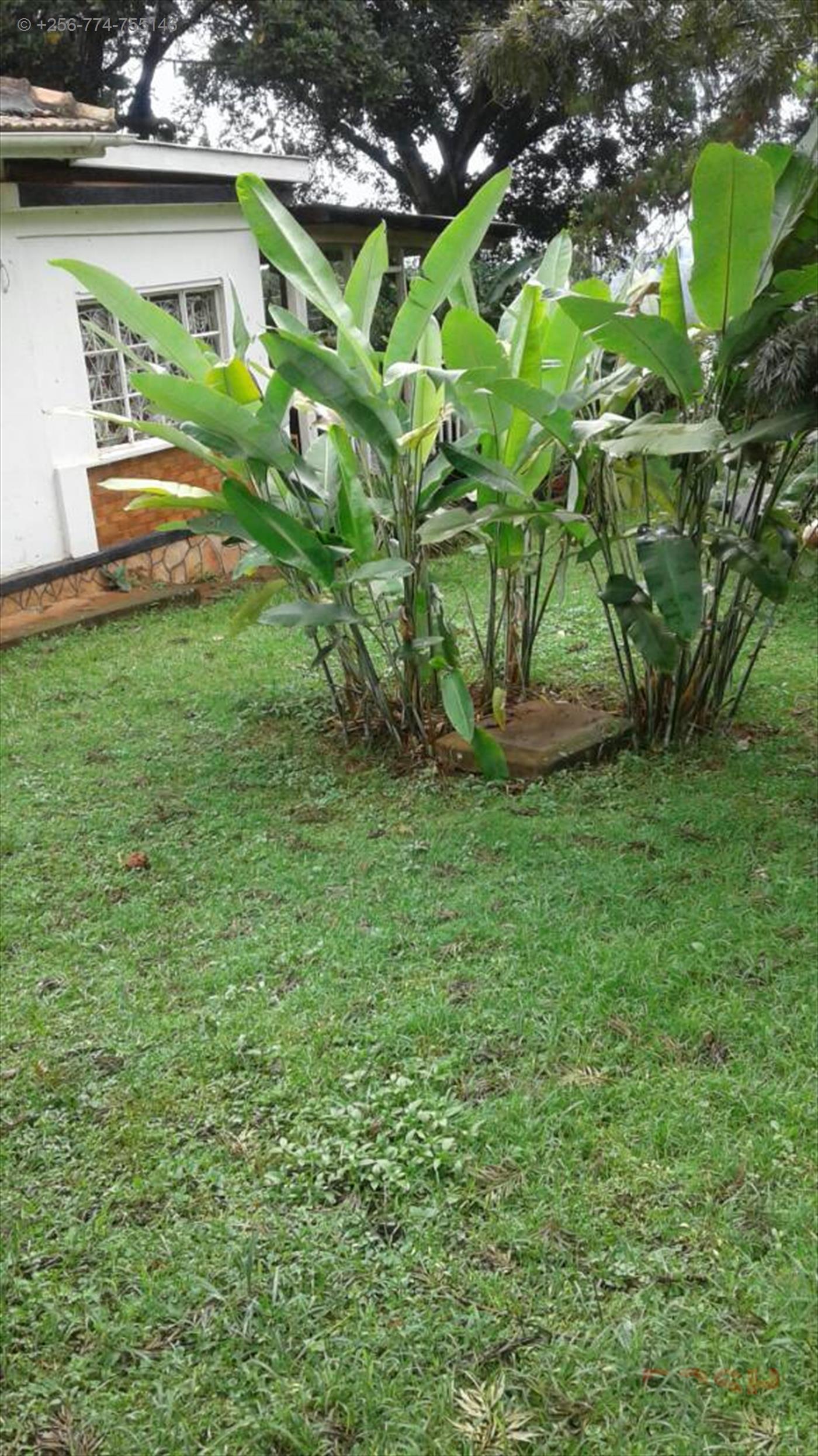 Residential Land for sale in Mbuya Kampala