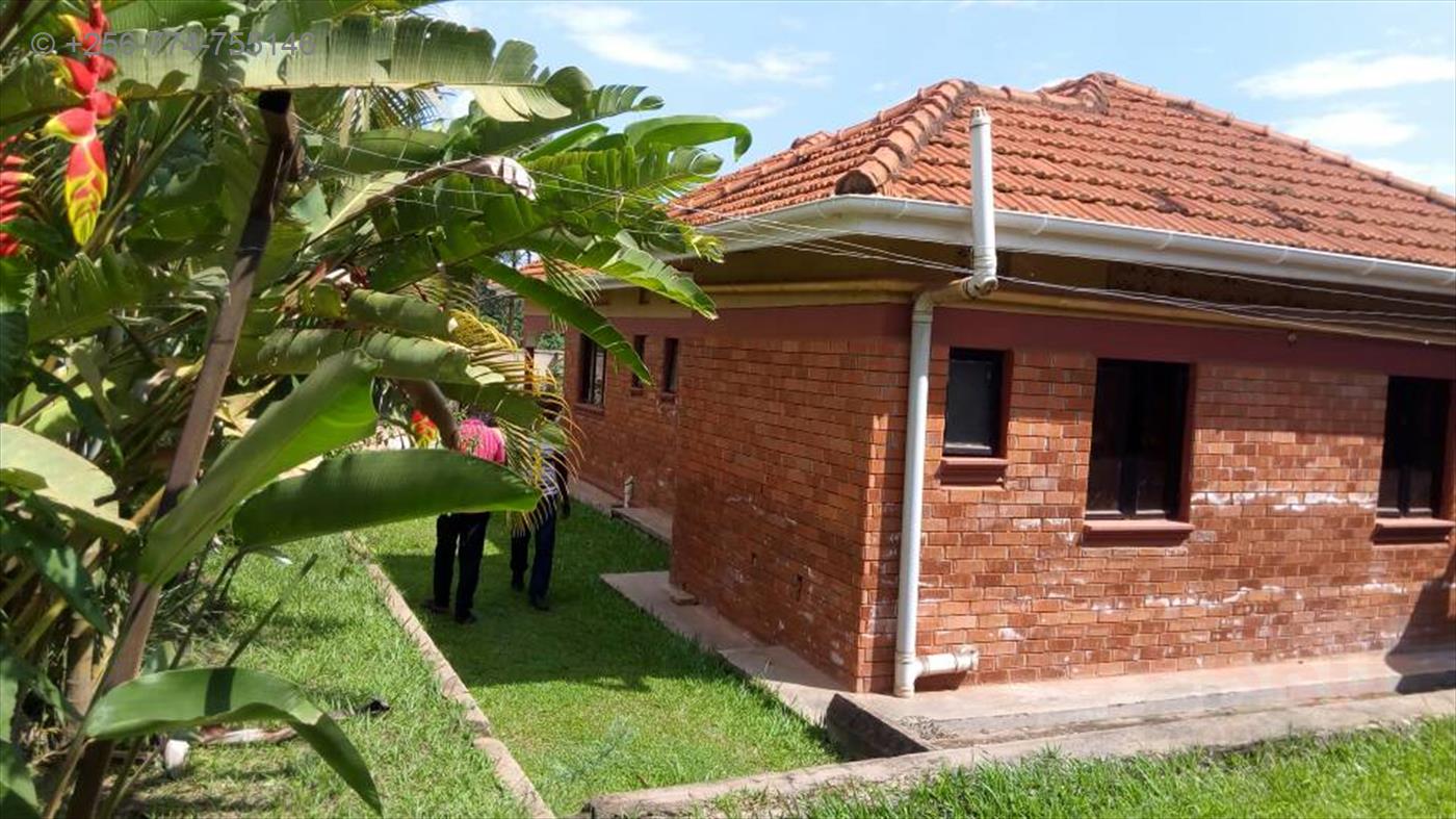 Bungalow for rent in Buwaate Wakiso