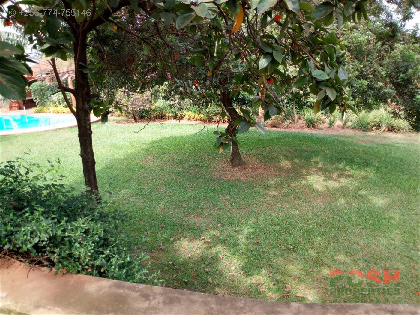 Mansion for rent in Kololo Kampala