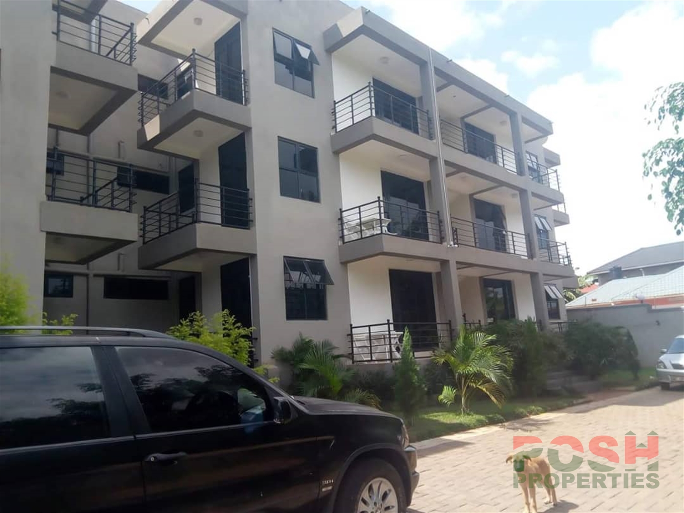 Apartment for rent in Muyenga Kampala