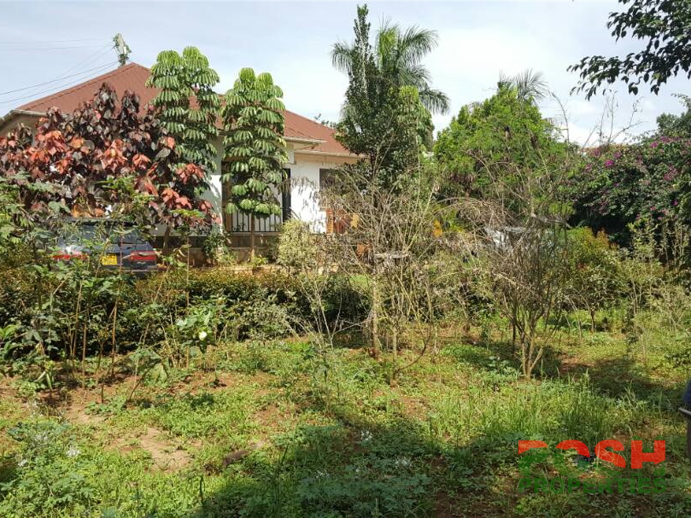 Bungalow for sale in Buziga Kampala