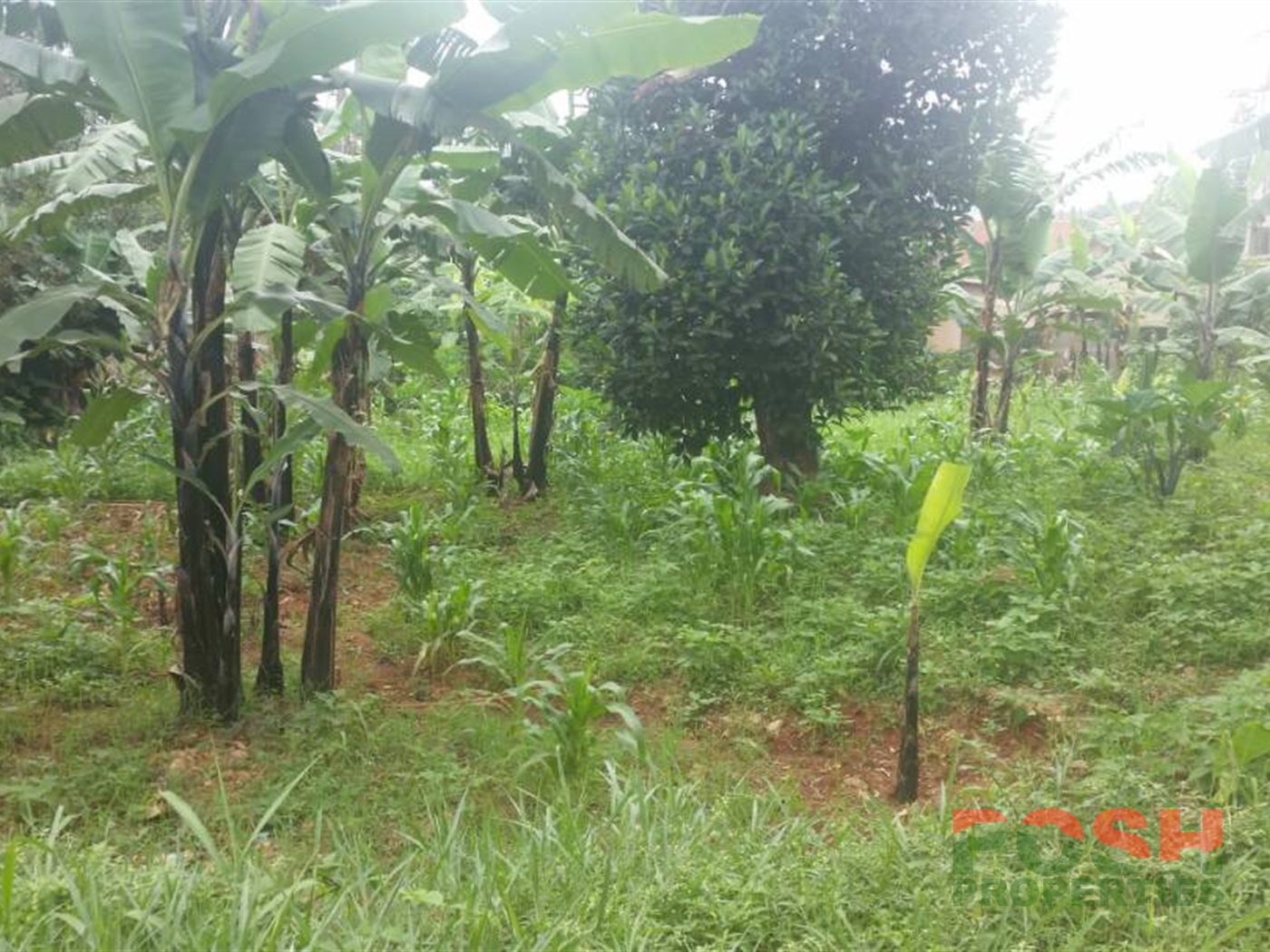 Residential Land for sale in Kiwaatule Kampala