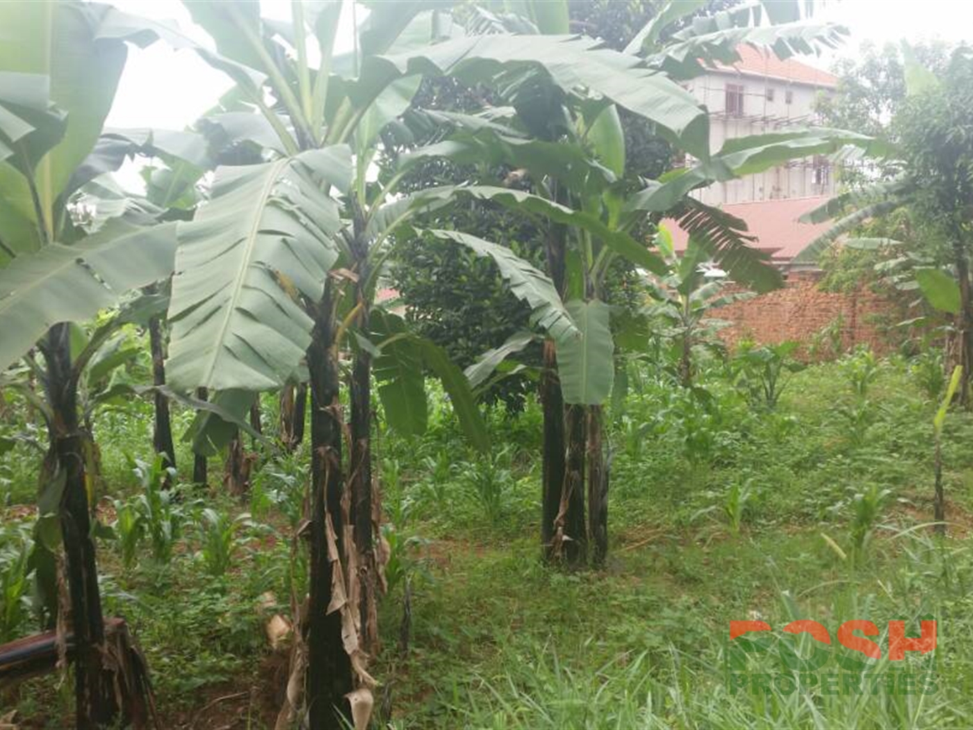 Residential Land for sale in Kiwaatule Kampala