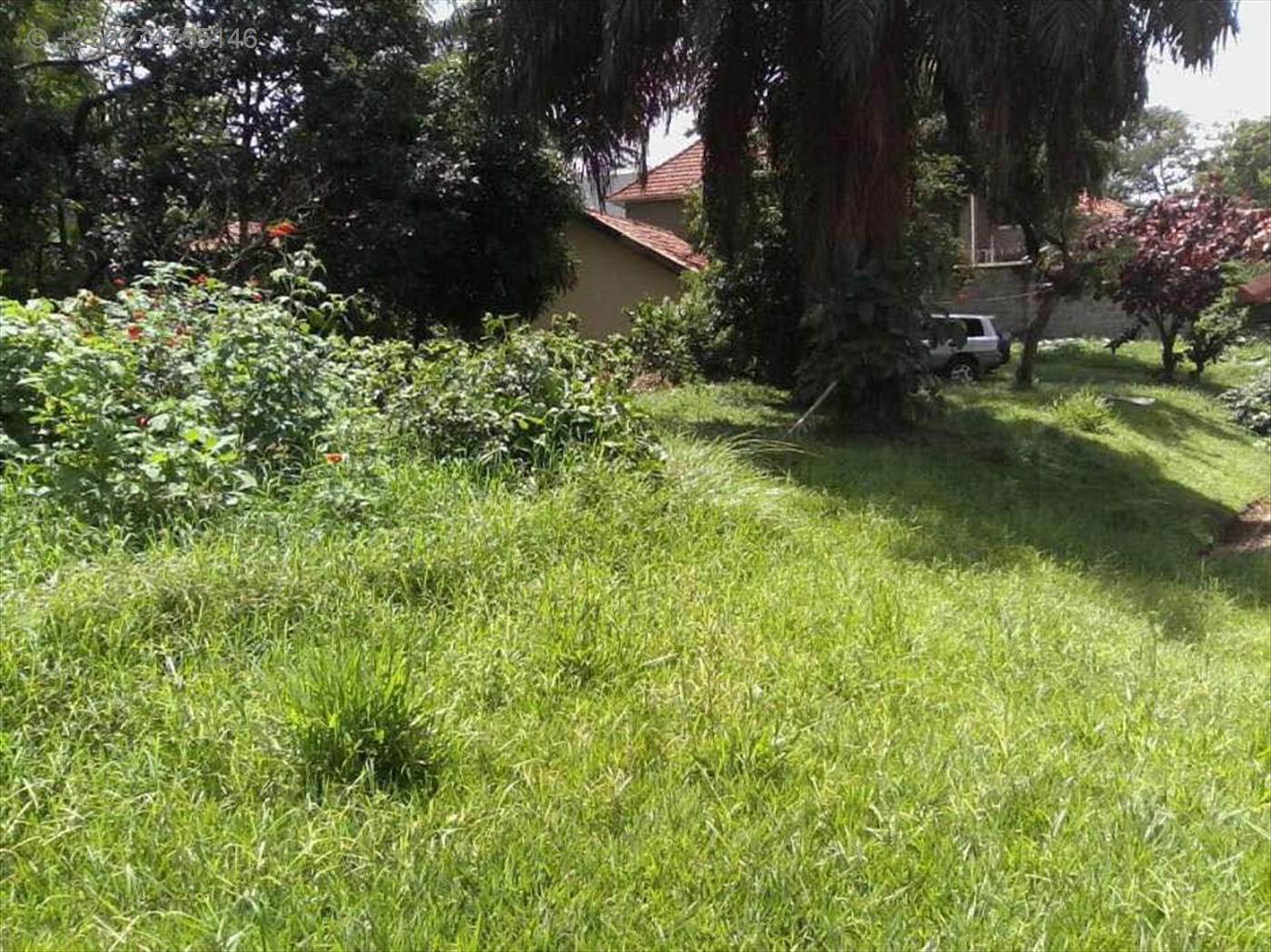 Bungalow for rent in Kololo Kampala