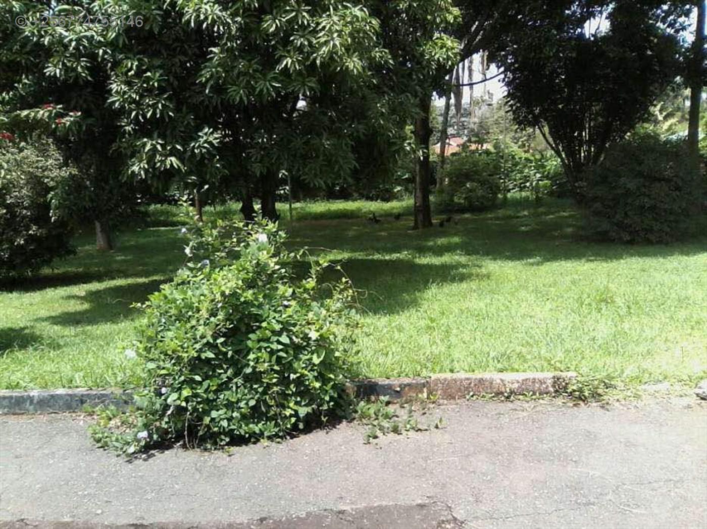 Bungalow for rent in Kololo Kampala