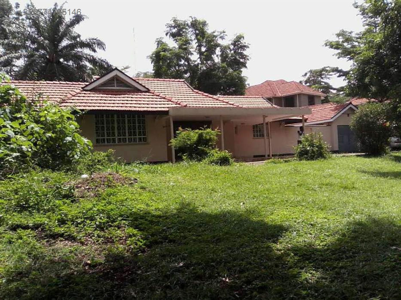 Bungalow for rent in Kololo Kampala