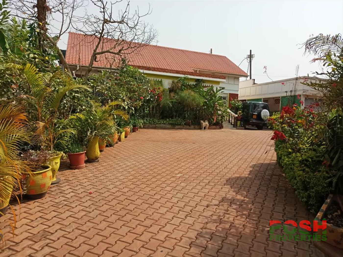 Bungalow for rent in Bukoto Kampala