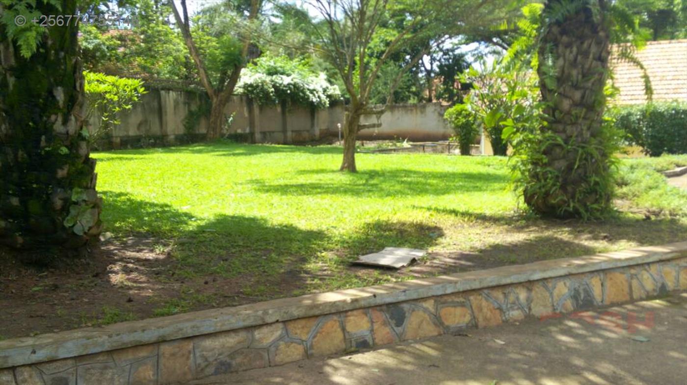 Bungalow for rent in Kololo Kampala