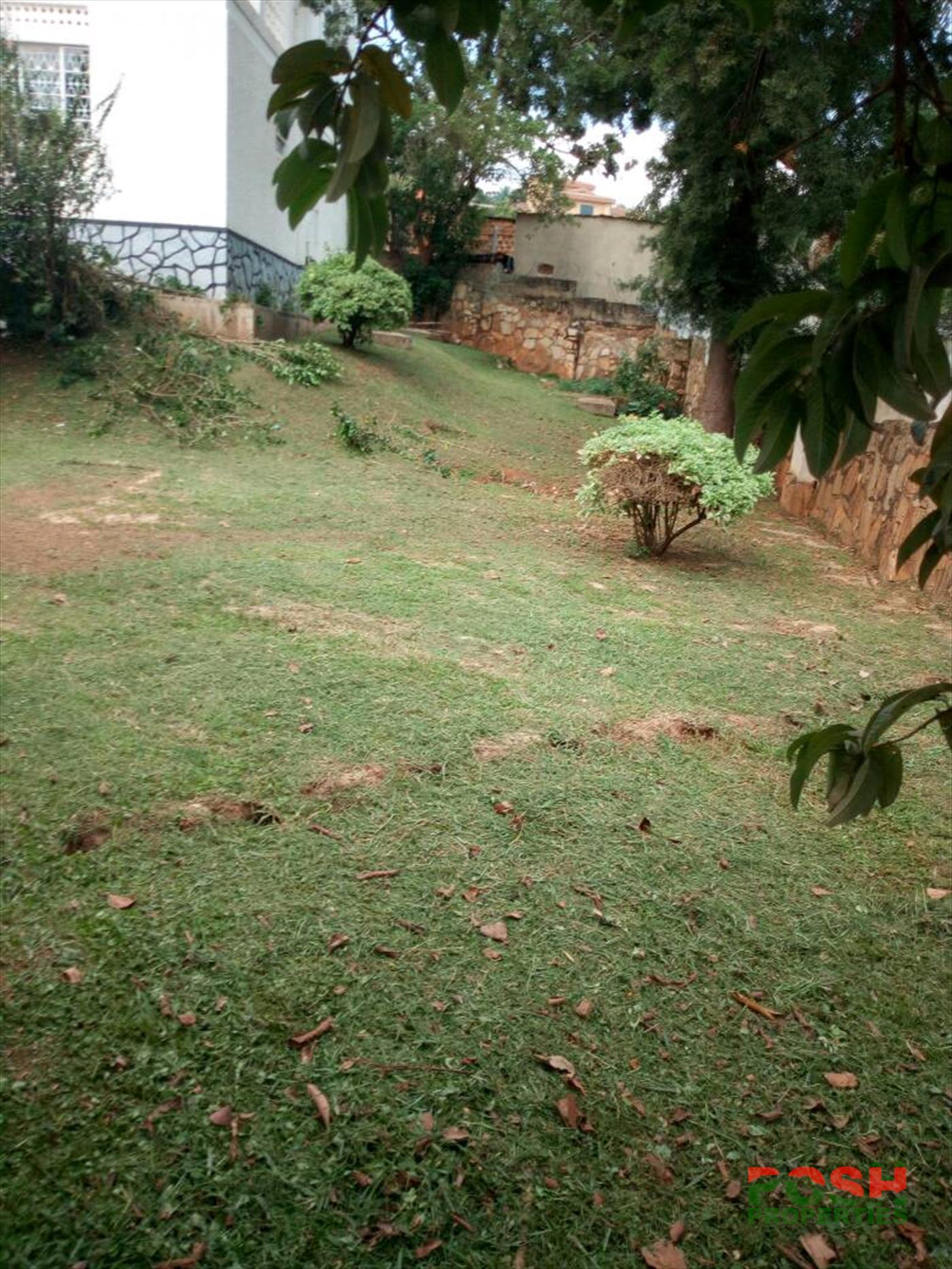 Bungalow for rent in Muyenga Kampala