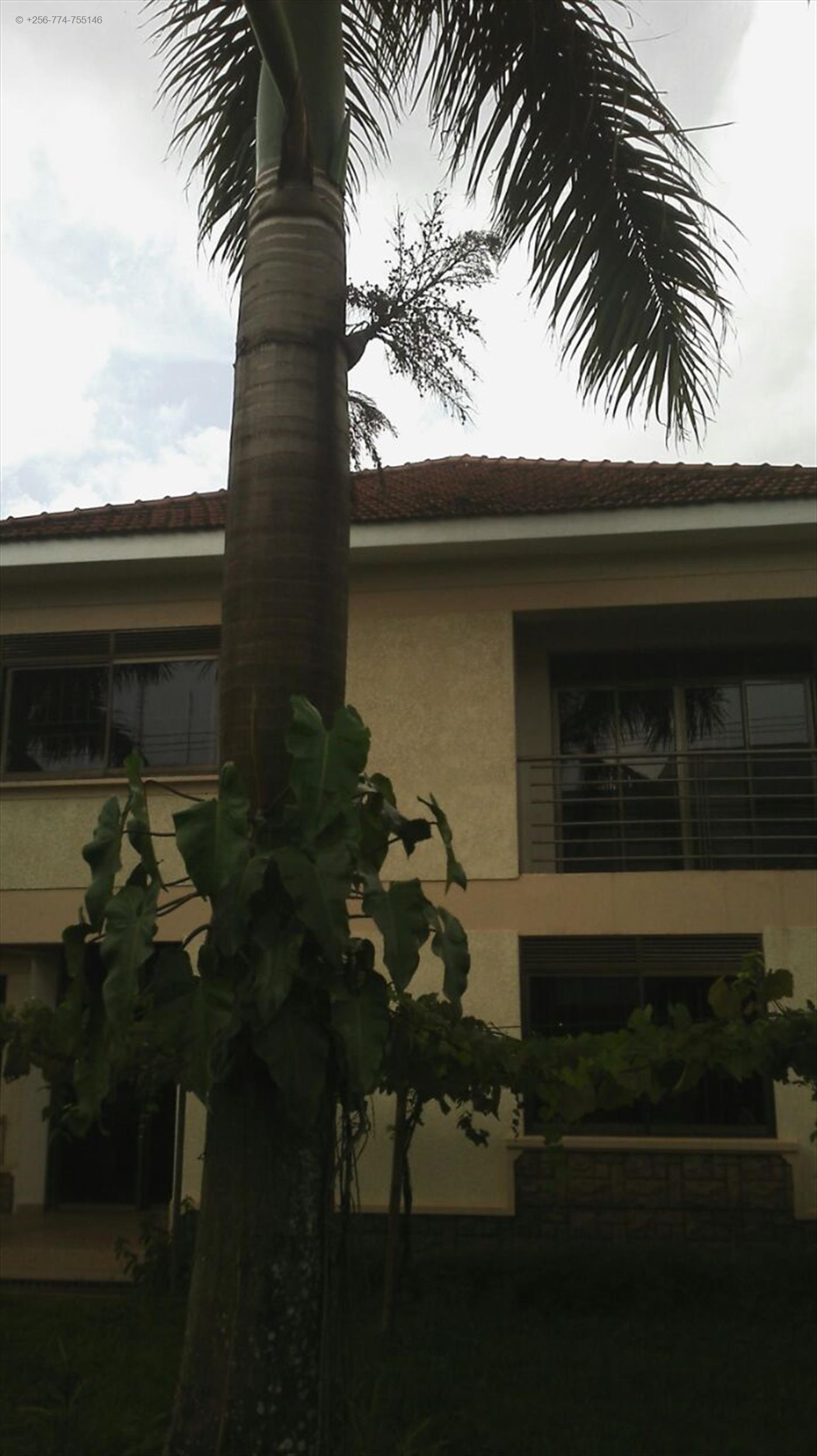 Mansion for rent in Lugogo Kampala