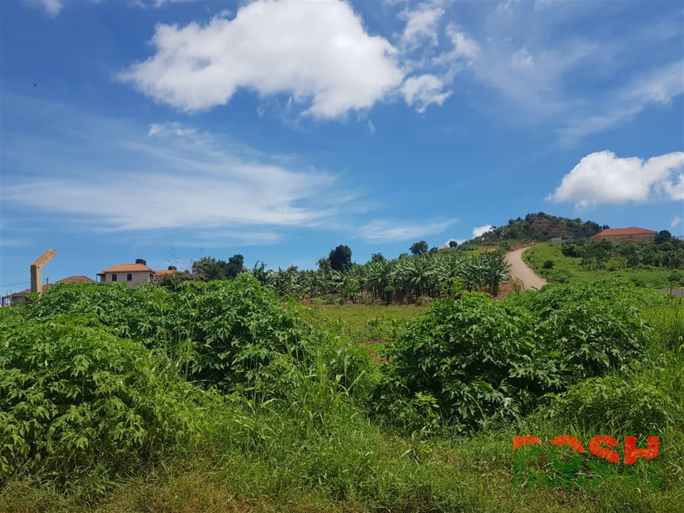 Agricultural Land for sale in Lubowa Wakiso