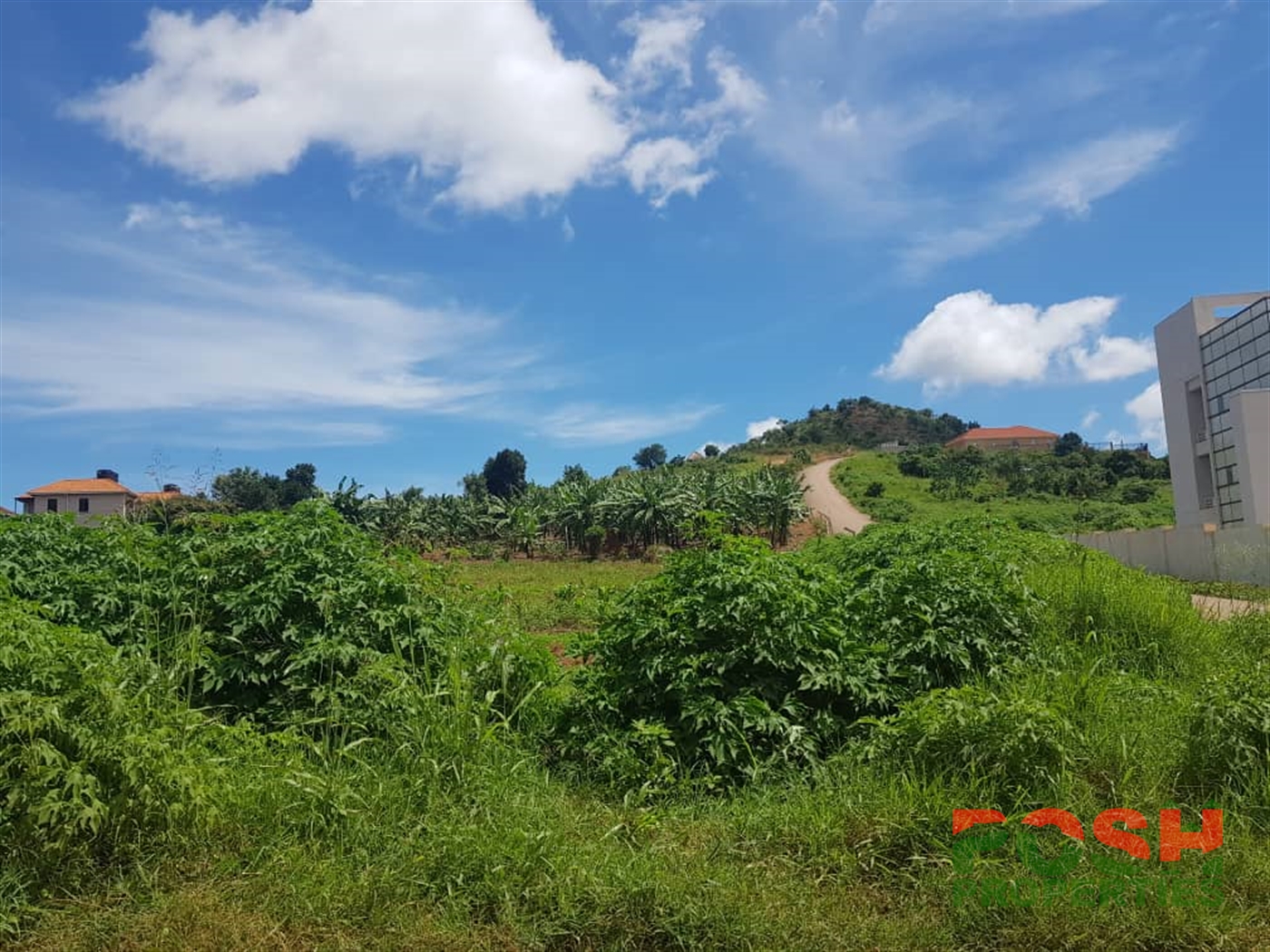 Agricultural Land for sale in Lubowa Wakiso