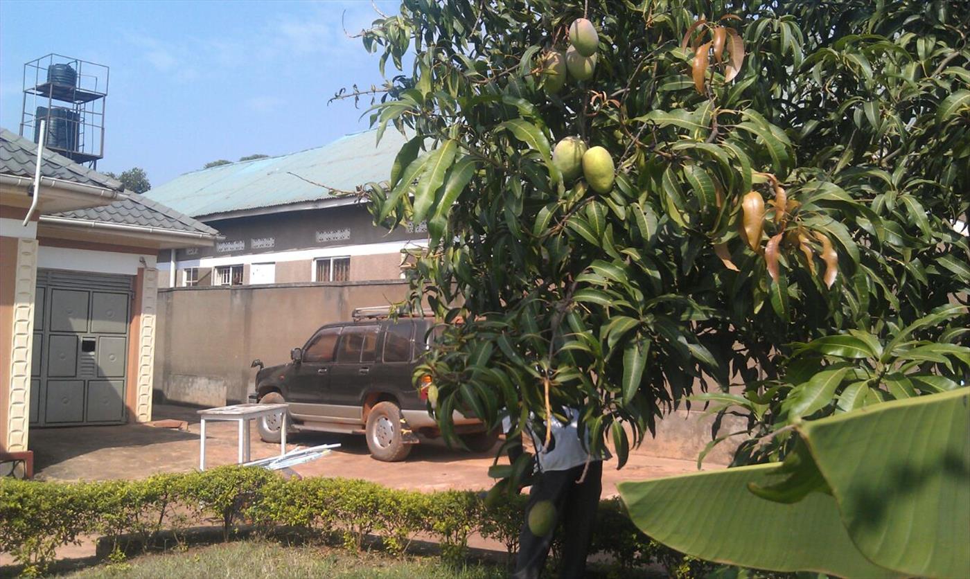 Bungalow for sale in Gayaza Wakiso