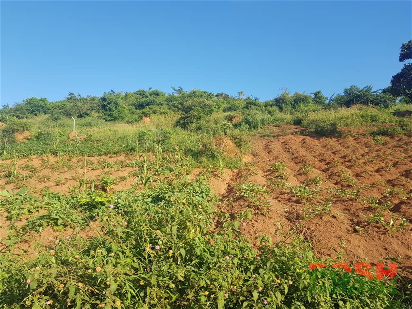 Residential Land for sale in Lubowa Wakiso