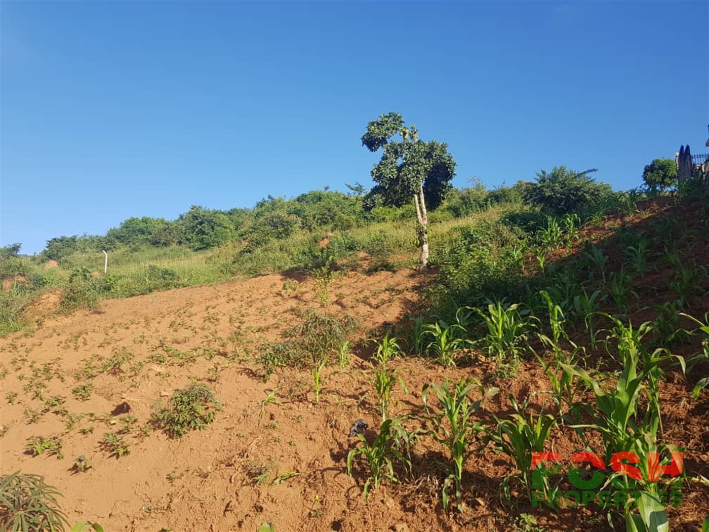 Residential Land for sale in Lubowa Wakiso