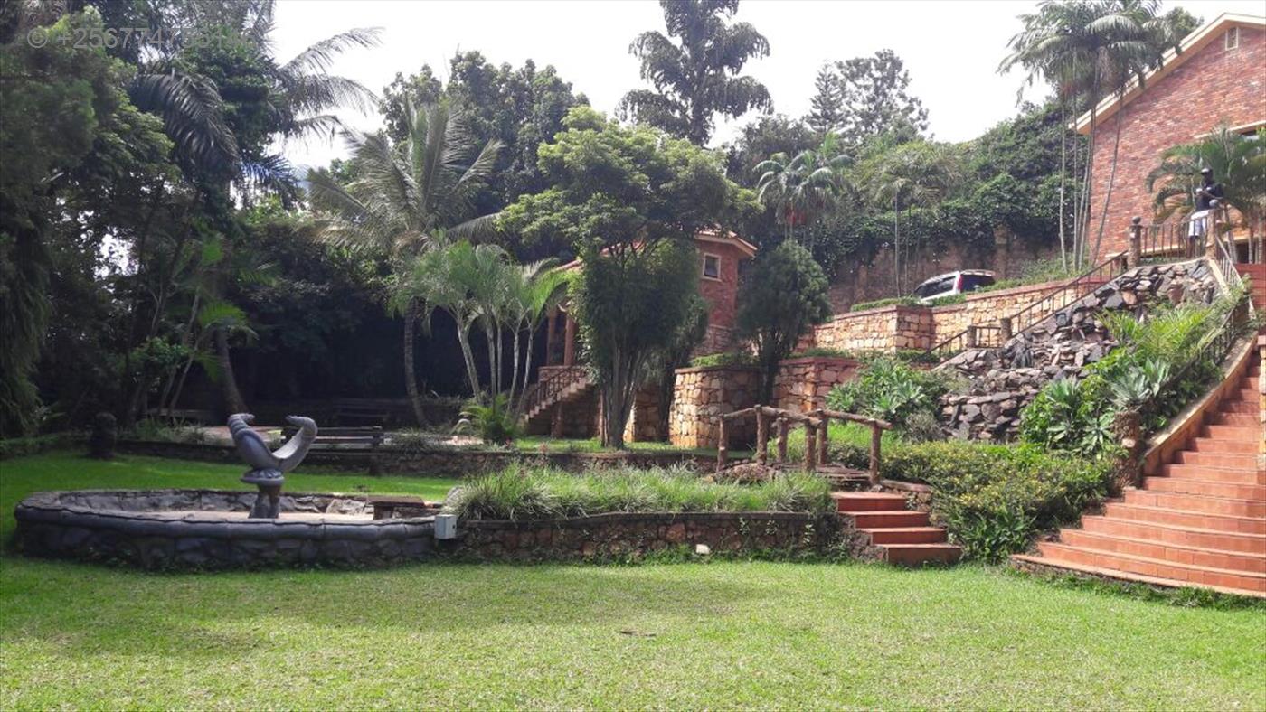 Mansion for rent in Mbuya Kampala