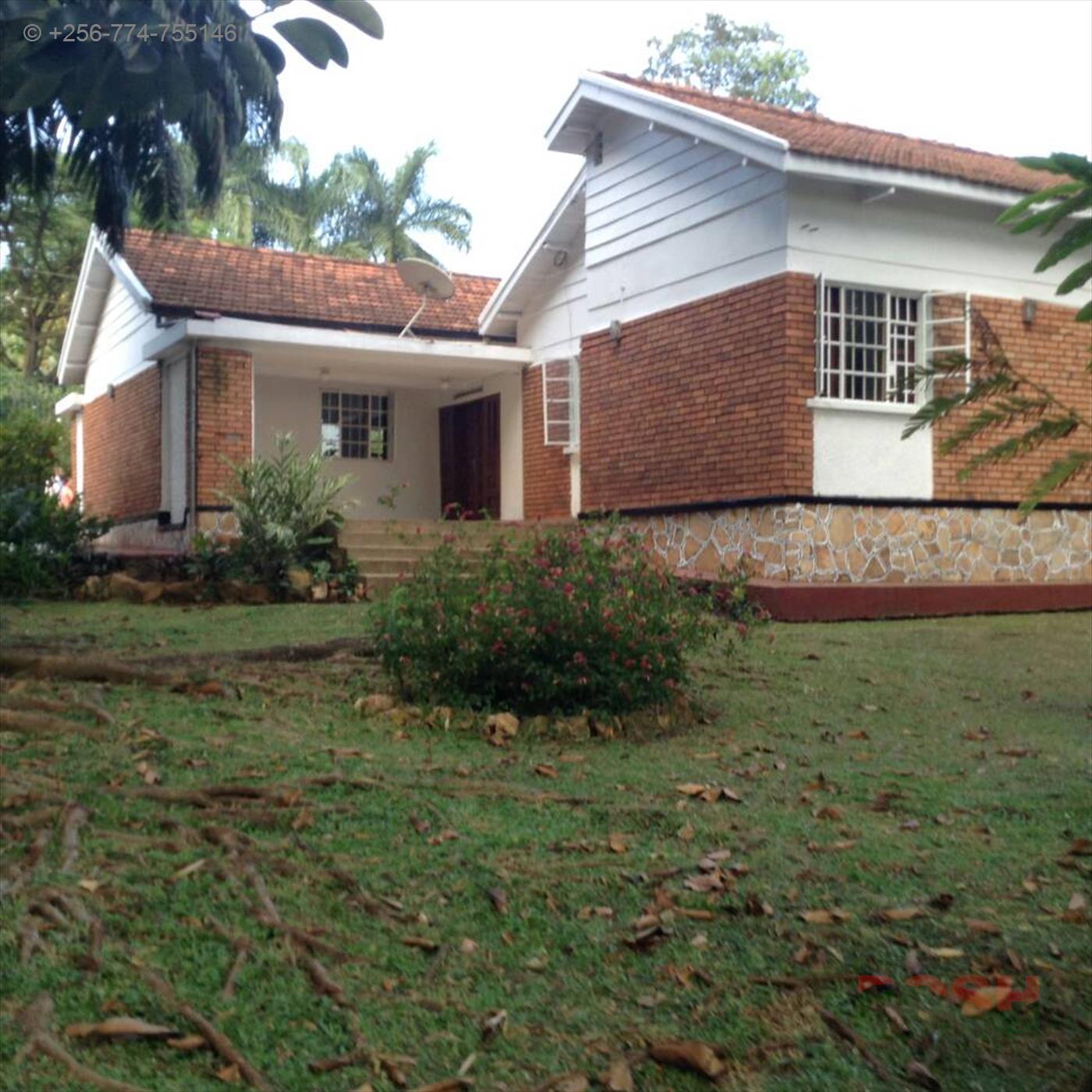 Bungalow for rent in Kololo Kampala