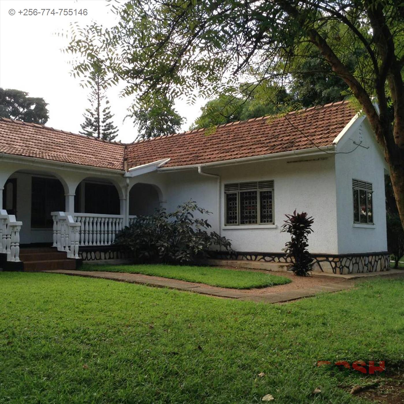 Bungalow for rent in Kololo Kampala