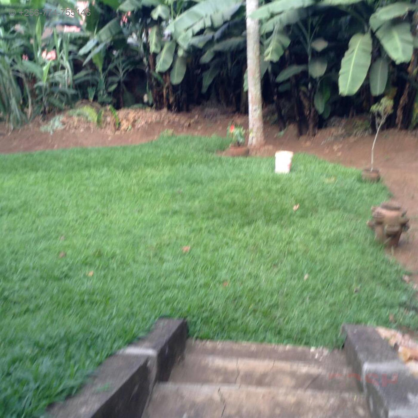 Bungalow for rent in Kololo Kampala