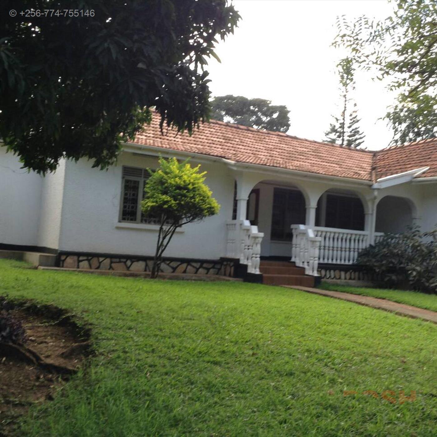 Bungalow for rent in Kololo Kampala