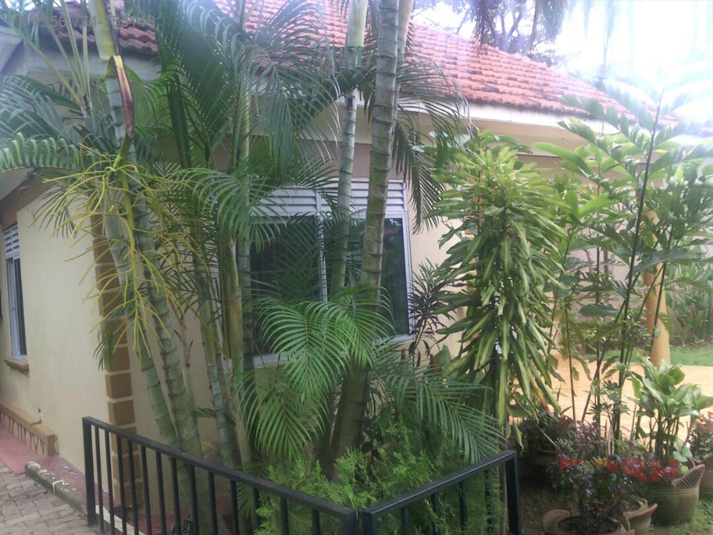 Bungalow for sale in Muyenga Kampala