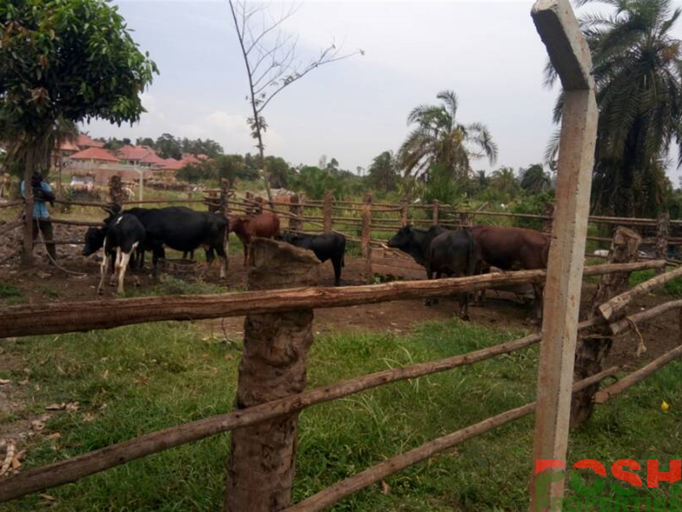 Agricultural Land for sale in Kagoma Kampala