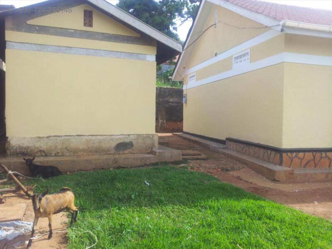 Bungalow for rent in Ntinda Kampala