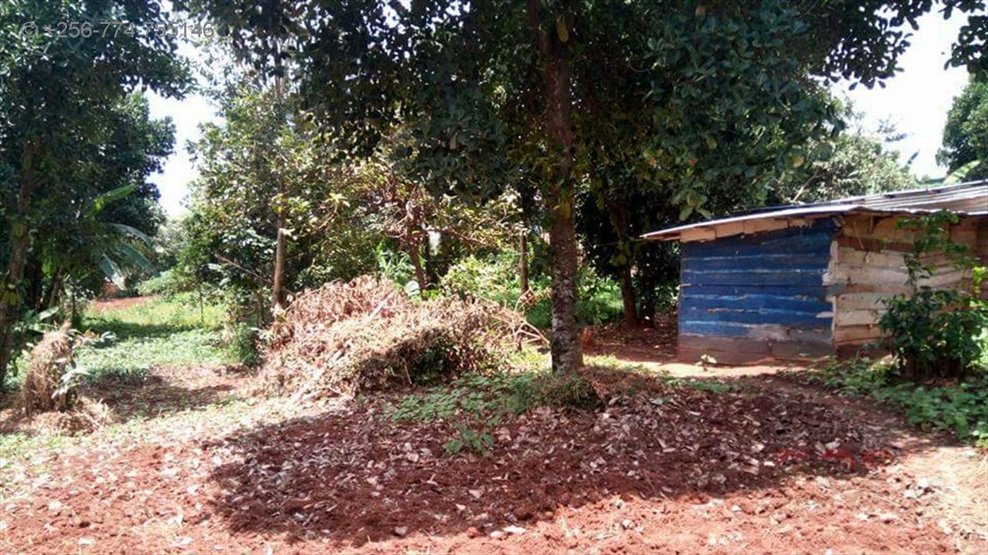 Residential Land for sale in Munyonyo Kampala