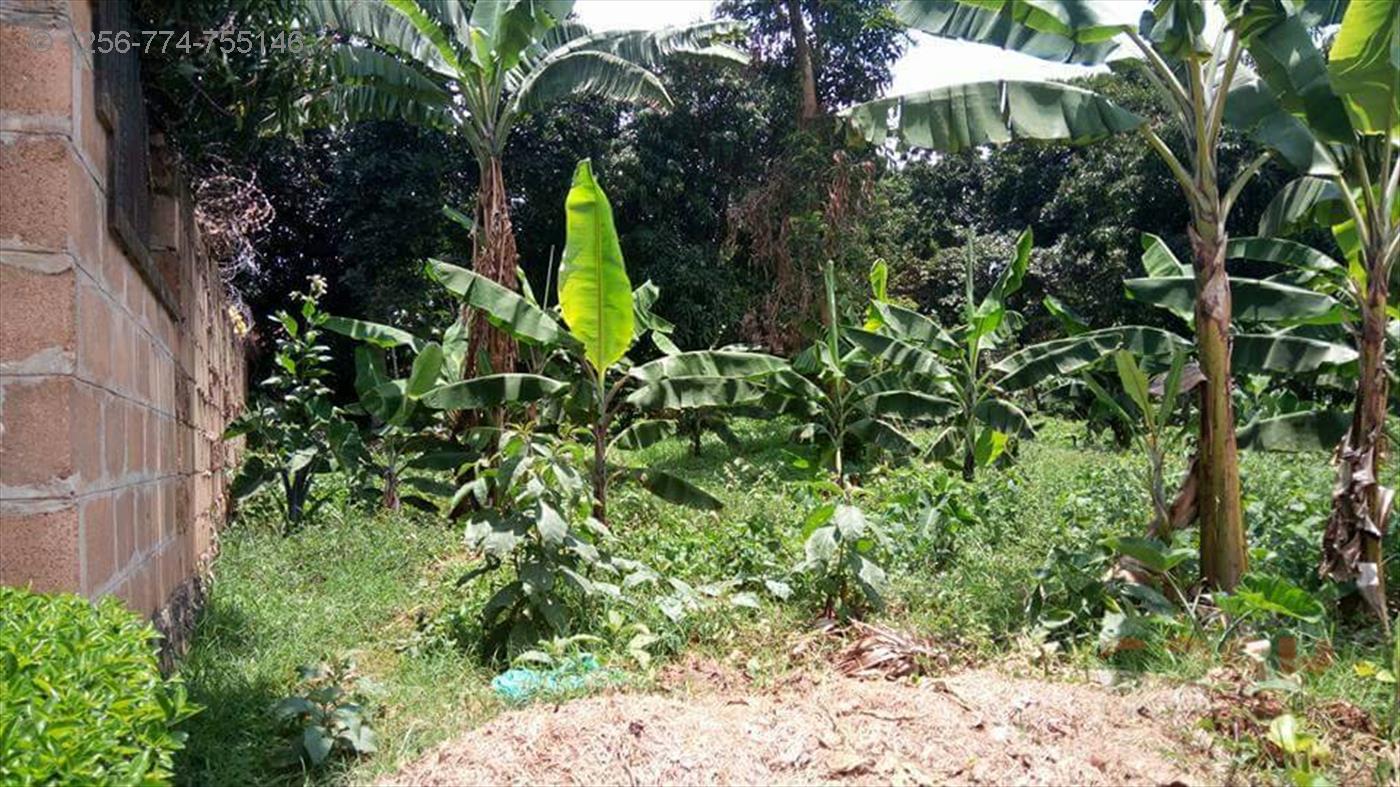 Residential Land for sale in Munyonyo Kampala