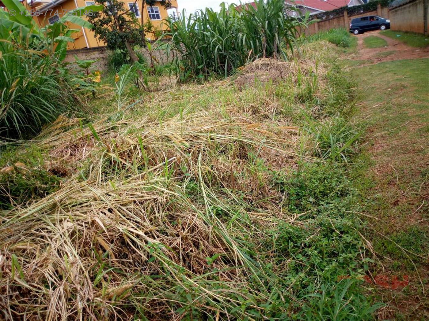 Residential Land for sale in Muyenga Kampala