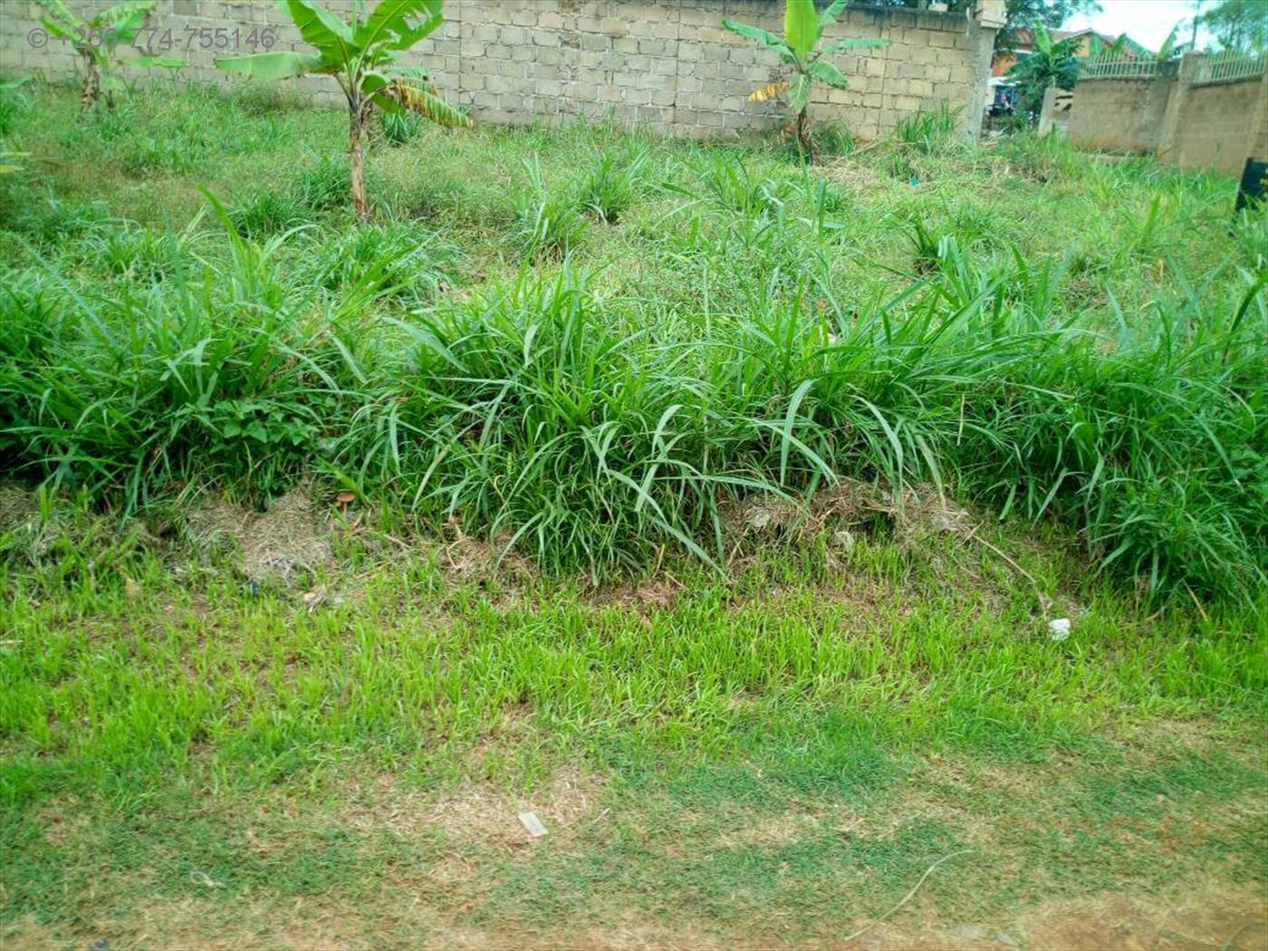 Residential Land for sale in Muyenga Kampala