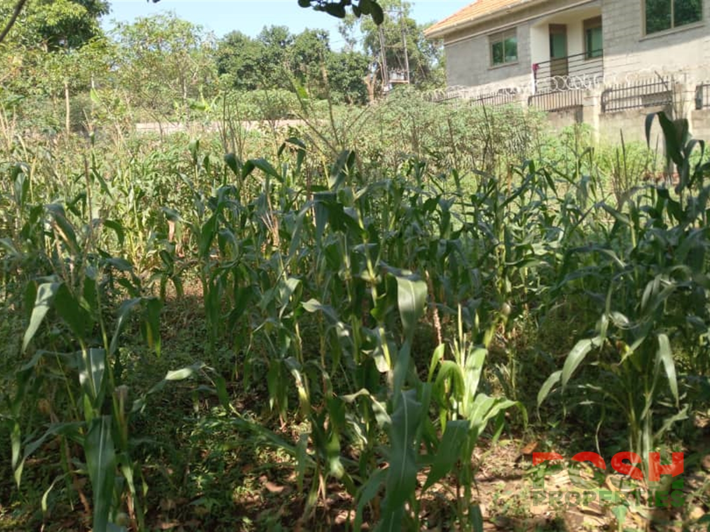 Residential Land for sale in Kyaliwajjala Wakiso