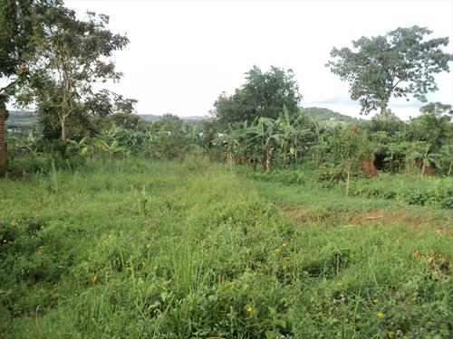 Residential Land for sale in Seguku Wakiso