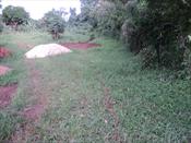 Residential Land for sale in Kitende Wakiso