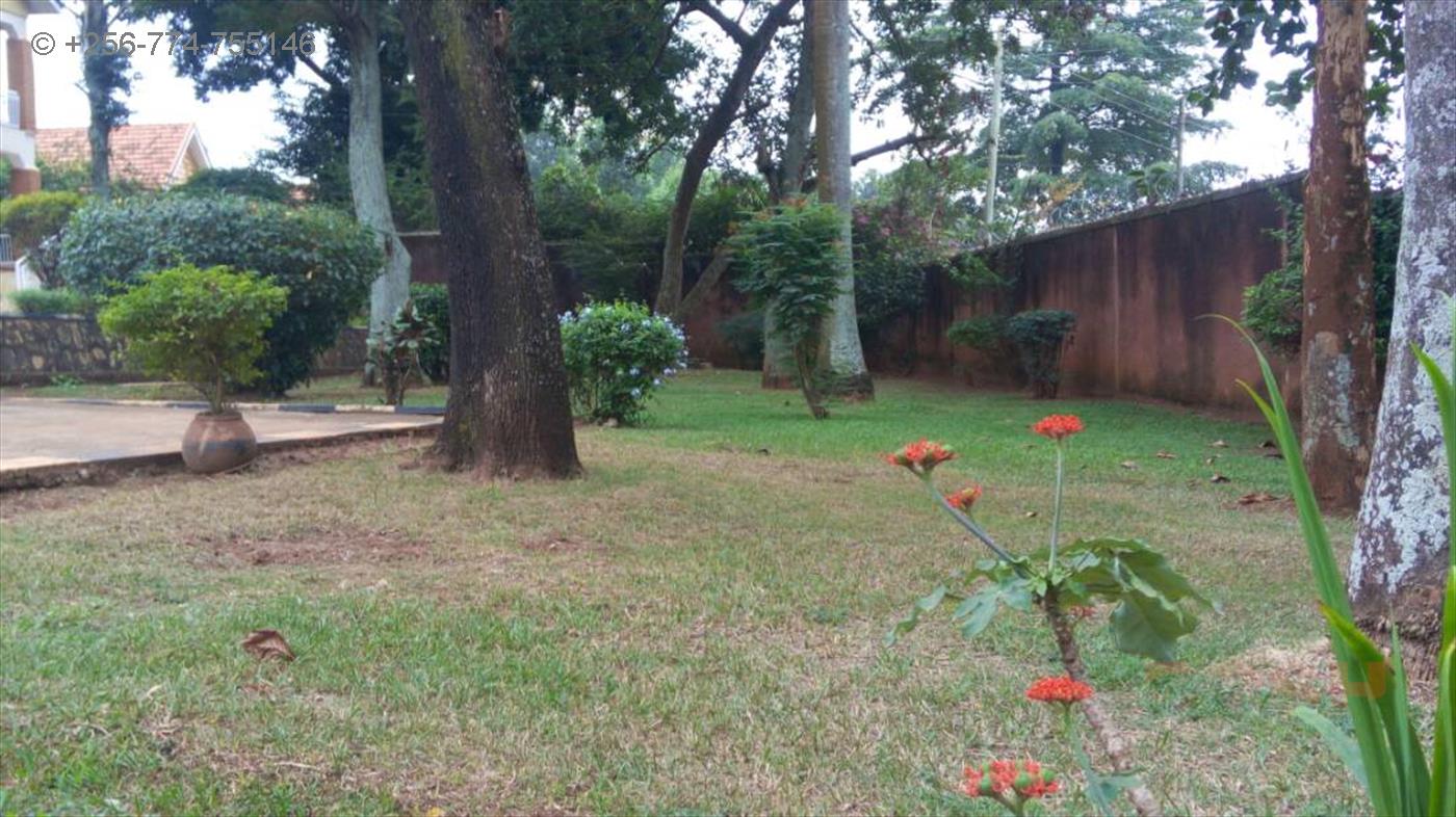 Mansion for rent in Naguru Kampala