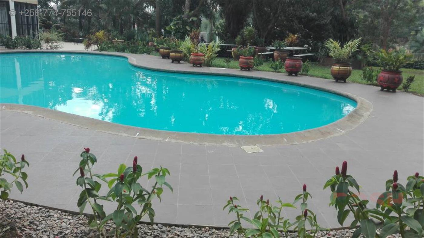 Mansion for rent in Kololo Kampala