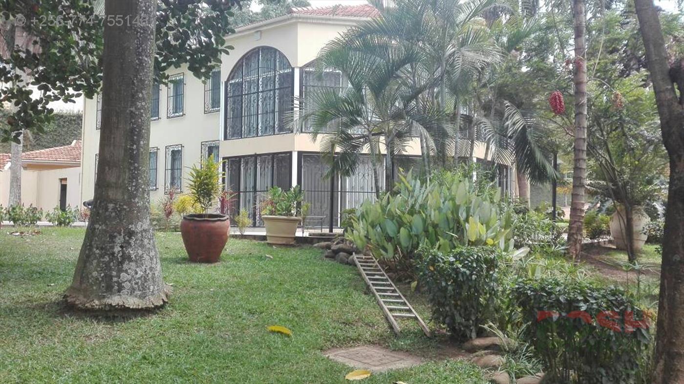 Mansion for rent in Kololo Kampala