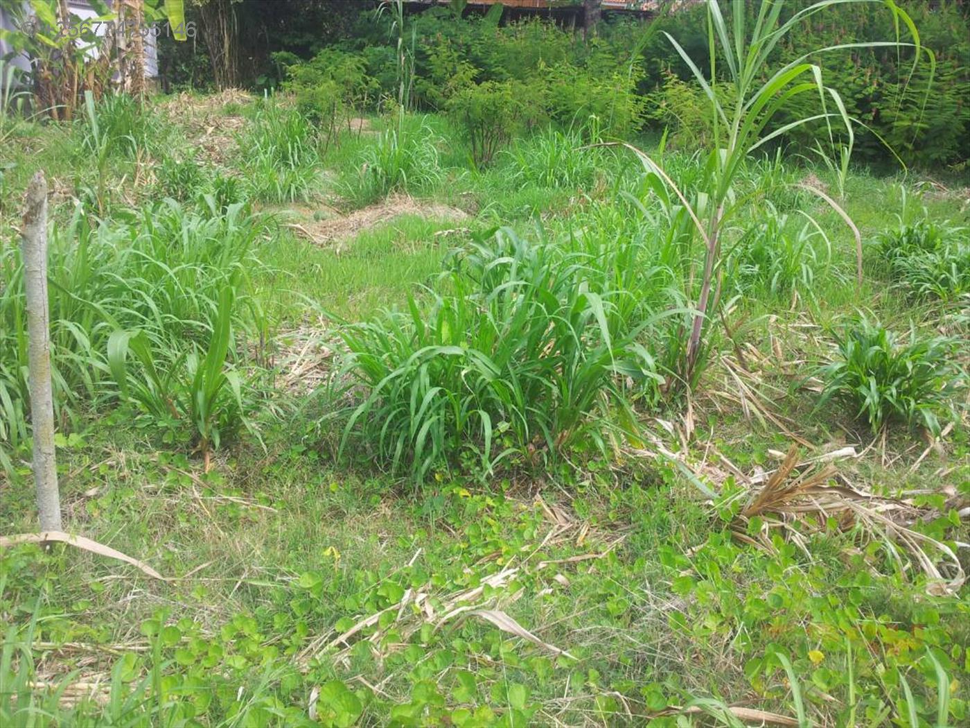 Residential Land for sale in Munyonyo Kampala