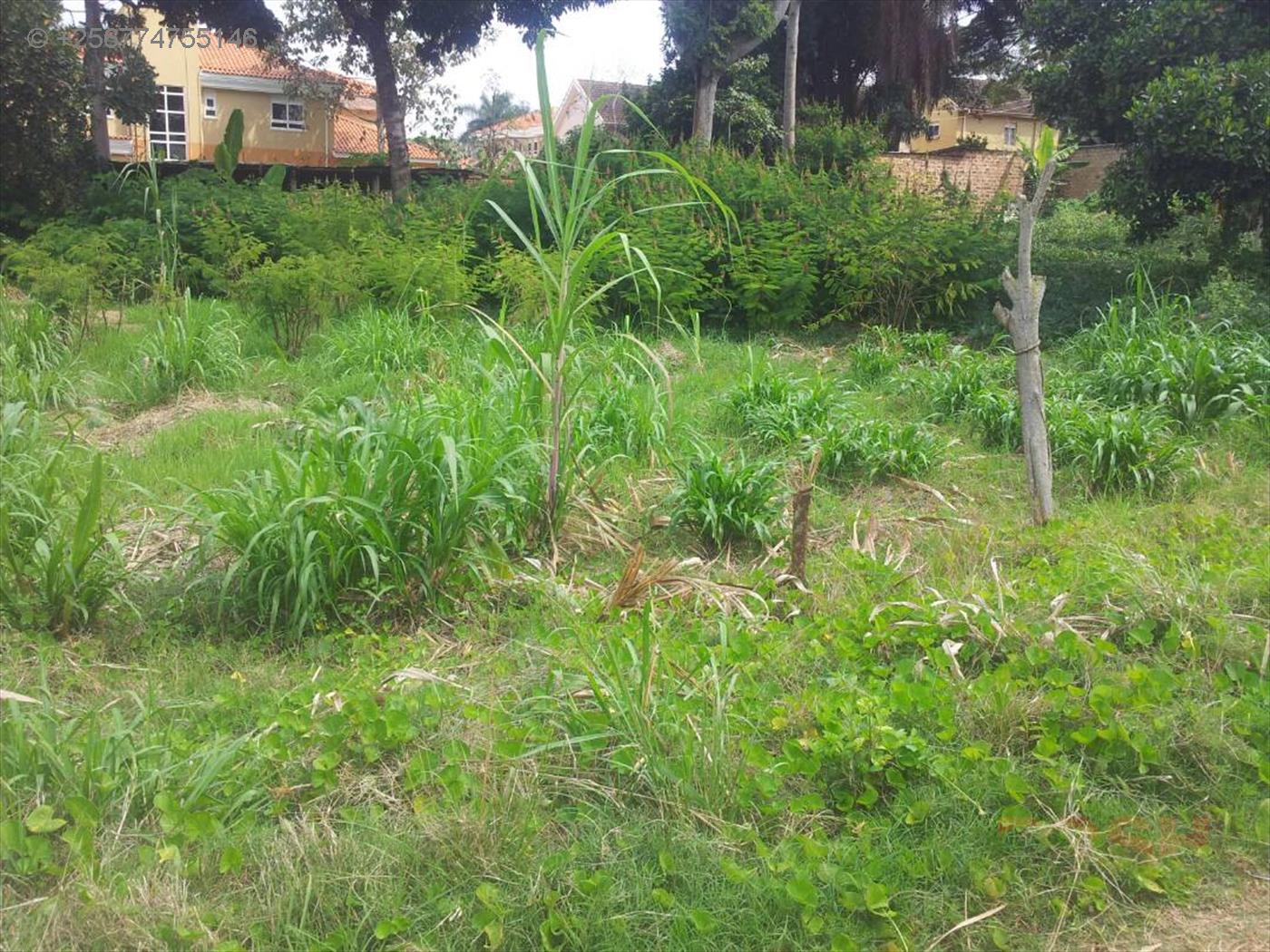 Residential Land for sale in Munyonyo Kampala