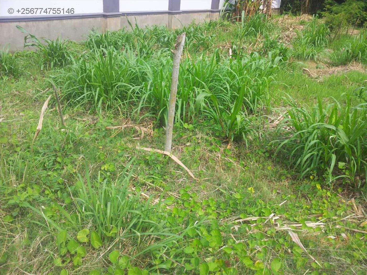 Residential Land for sale in Munyonyo Kampala